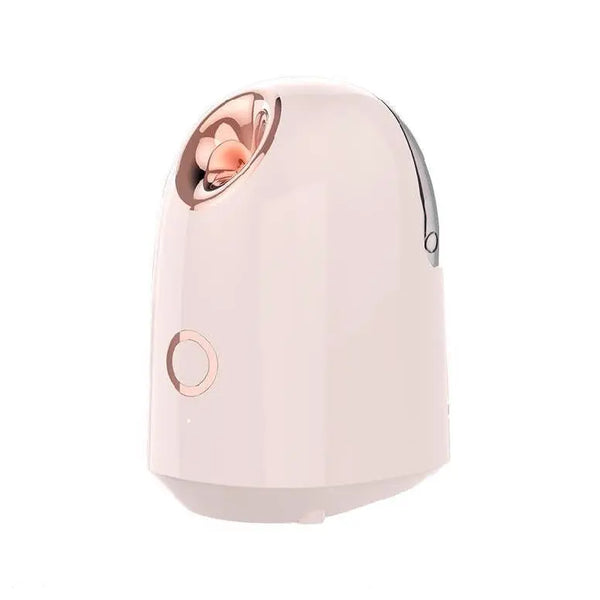 Beauty Steamer ABS Material Voltage 220V
