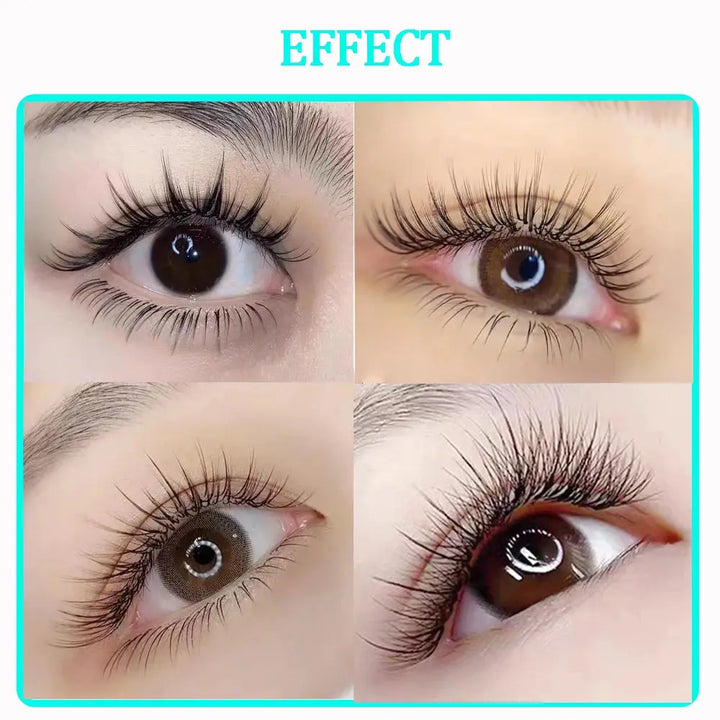 Camellia False Eyelash Extension Natural Soft Auto Fan Bloom Magnetic Easy Fanning Individual Lashes Faux Mink Silk Fake Lashes - BEAUTIRON