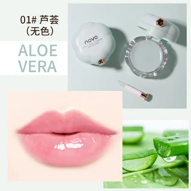 a collage of photos with aloe vera products